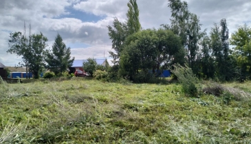 п. Иртышский, п. Иртышский, пер. Степной 2-й, 2