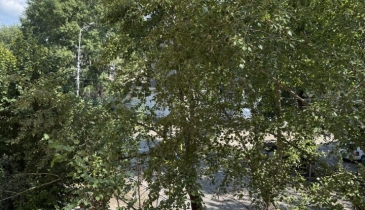 г. Омск,  пр-кт. Культуры, 11