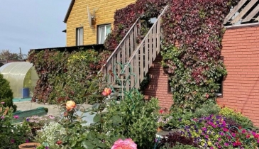 г. Исилькуль, г. Исилькуль, ул. Юннатов, 19