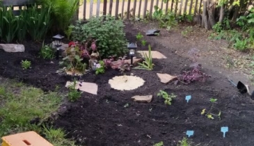 г. Омск,  дп. сдт Заречное (КАО)