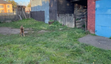 с. Соляное, с. Соляное, ул. Школьная, 5