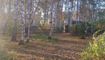 г. Омск,  п. Светлый