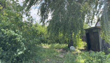 г. Омск,  дп. сдт Искра (ЛАО)