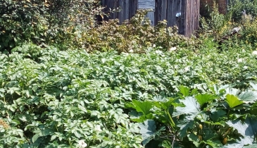 г. Омск,  дп. сдт Кировец-2 (КАО)