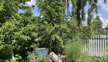 г. Омск,  дп. сдт Искра (ЛАО)