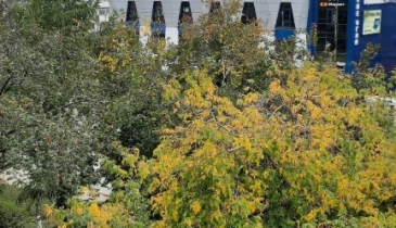 г. Омск,  ул. Красный Путь, 22