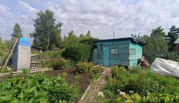 г. Омск,  дп. сдт Сибирский садовод (ЛАО)