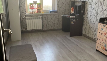 г. Омск,  ул. Кирова, 20