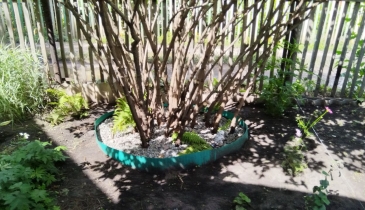 г. Омск,  дп. сдт Заречное (КАО)