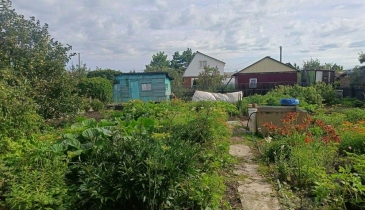 г. Омск,  дп. сдт Сибирский садовод (ЛАО)