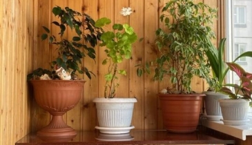 г. Омск,  ул. 7-я Линия, 190