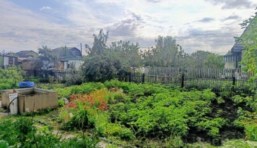 г. Омск,  дп. сдт Сибирский садовод (ЛАО)