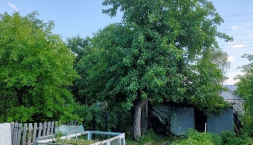 г. Омск,  дп. сдт Строитель (САО)