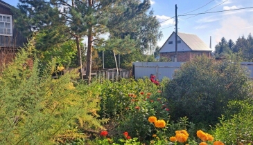 г. Омск,  дп. сдт Ивушка (ЦАО1)