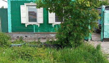 г. Омск,  ул. Парковая