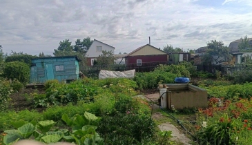 г. Омск,  дп. сдт Сибирский садовод (ЛАО)