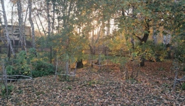 г. Омск,  п. Светлый