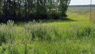 с/п. Пушкинское, с/п. Пушкинское, 