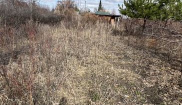 г. Омск,  дп. сдт Радуга-2 (ОАО)