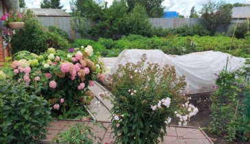 п. Иртышский, п. Иртышский, ул. Никифорова