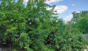 г. Омск,  дп. сдт Строитель (САО)