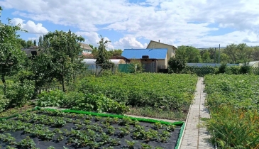 г. Омск,  дп. сдт Тепличный-2 (ЛАО)