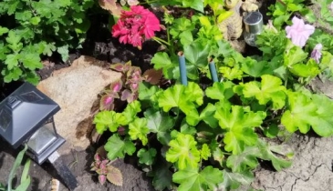 г. Омск,  дп. сдт Заречное (КАО)