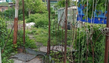 г. Омск,  ул. Парковая