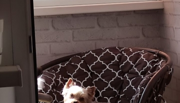 г. Омск,  ул. 70 лет Октября, 14