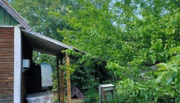 г. Омск,  дп. сдт Строитель (САО)