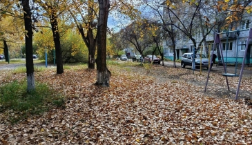 г. Омск,  ул. 50-летия ВЛКСМ, 10