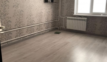 г. Омск,  ул. Кирова, 20