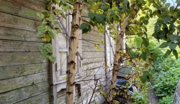 г. Омск,  ул. 8-я Северная