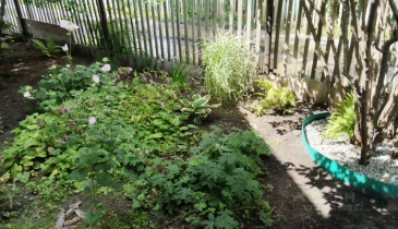 г. Омск,  дп. сдт Заречное (КАО)