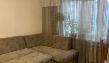 г. Омск,  ул. Омская, 195