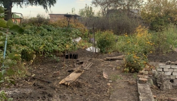 г. Омск,  дп. сдт Яблонька (КАО)