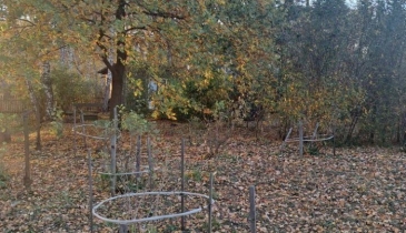 г. Омск,  п. Светлый