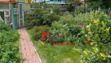 г. Омск,  ул. Димитрова, 39