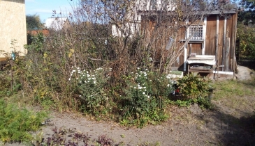 г. Омск,  дп. сдт Кировец-2 (КАО)