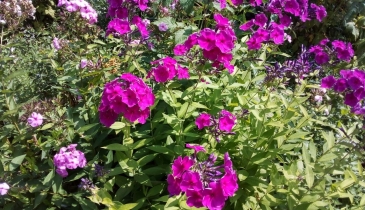 г. Омск,  дп. сдт Кировец-2 (КАО)