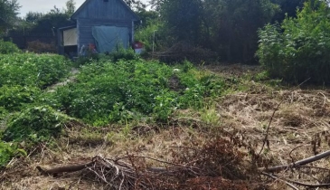 г. Омск,  дп. сдт Нефтяник (САО)