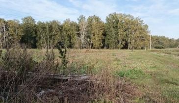 с. Березовка, Азовский немецкий национальный р-н, с. Березовка, 