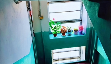 г. Омск,  ул. Днепровская, 42А