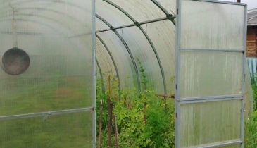 г. Омск,  дп. сдт Автодорожник (ЛАО)