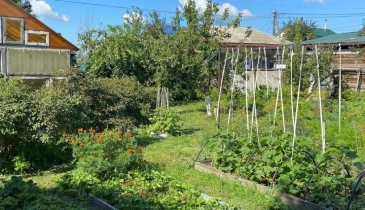 г. Омск,  ул. Димитрова, 39