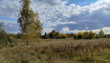 дп. Чернолучинский, дп. Чернолучинский, 