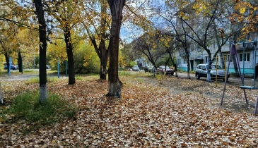 г. Омск,  ул. 50-летия ВЛКСМ, 10