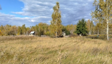 дп. Чернолучинский, дп. Чернолучинский, 