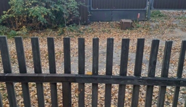 г. Омск,  п. Светлый