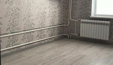 г. Омск,  ул. Кирова, 20